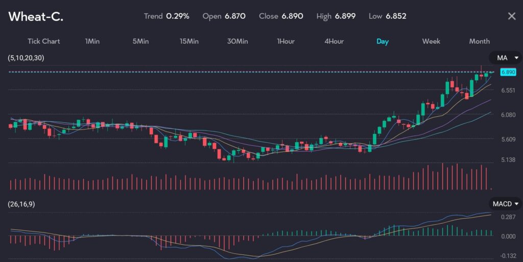 Chart displaying Chicago wheat prices at 6.890 with a trend of 0.29%, reflecting the biggest weekly gain in a month due to global crop concerns. The chart features moving averages (MA) and MACD indicators. Lower forecasts for wheat production from Russia, combined with adverse weather conditions in major producers like Ukraine, Australia, France, and Germany, have pushed wheat prices to their highest in 10 months. Image hosted by VT Markets, a forex CFDs brokerage.